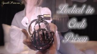 Locked in your Cock Prison!