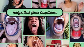 Hildy's Mega Big Yawn Compilation
