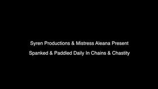 Spanked & Paddled Daily In Chains And Chastity (720p)