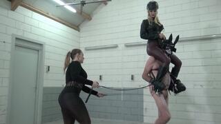 shoulder riding leading ponyboy training