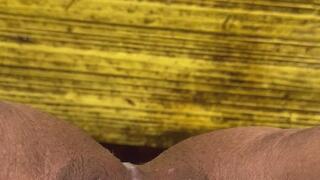 Pissing on the Steps