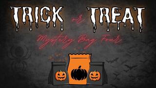 Trick or Treat: Mystery Bag Four