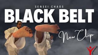 You're My New Kicking Bag - How Should I Reward You?