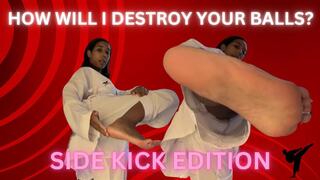 How I'd Destroy Your Balls - SIDEKICK EDITION