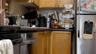 Fat, Hungry Housewife