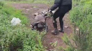 Outdoor Dominance – Power in My Presence-2