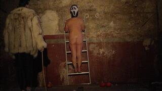 Whip and CBT on ladder