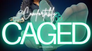 Comfortably Caged