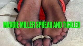 Maggie Miller Spread and Tickled