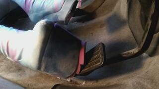 1002-The Asian's Cotton Candy Crave I