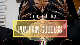 Denied By Pumpkin Goddess
