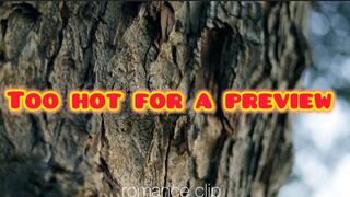 AMATEUR AFRICAN GIRLS ROMANCE