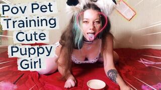 Pov Pet Training Cute Puppy Girl With Orgasm Control