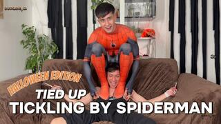 Robbing Spider-Man's House Was My Biggest Mistake