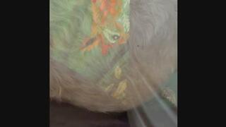 Female Farting combo from mommabear