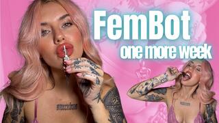 FemBot One More Week in Chastity Scarlett Cummings Locktober Key Holder