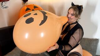 #044 kitty Margot pumpkin b2p