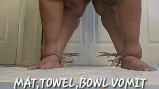 MAT TOILET BOWL VOMIT