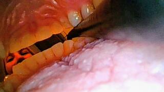 YOU Looking Out! Borescope with Penny!