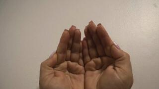 Finger and Palm Lines