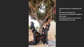 Pure Fart Double Domination