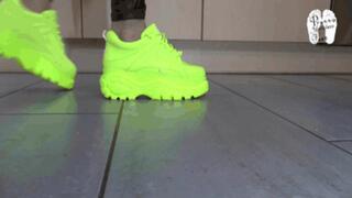 Hungry Buffalos 2 floor view