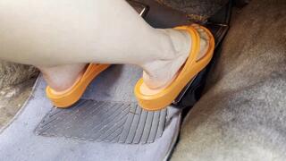 Flip Flops & Flooded Pt 1