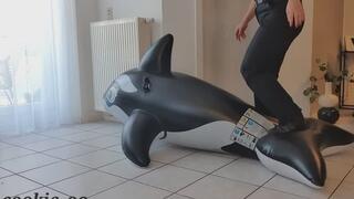 pop an Orca