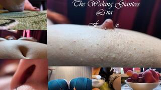 The Waking Giantess Lina fx