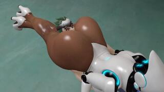 Haydee Training Headscissor!