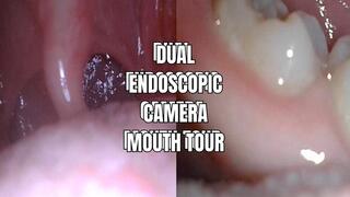 Dual endoscopic camera mouth tour - OnlyVanessa