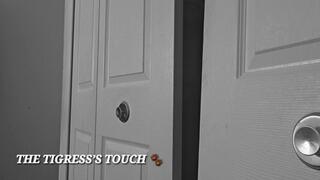 THE TIGRESS’S TOUCH
