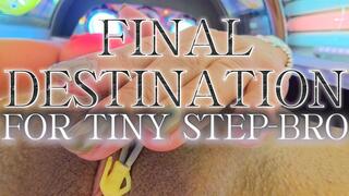 Final Destination For Tiny Step-Bro