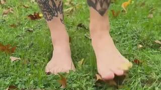 Playing with pumpkins