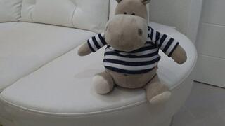 A plush toy on my crossed legs a