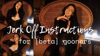 Special Jerk Off Instructions for Miss Nina's Test Subjects