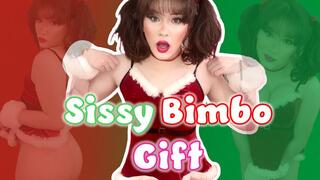 A Sissy Bimbo Gift