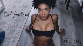 Bad Lanlord