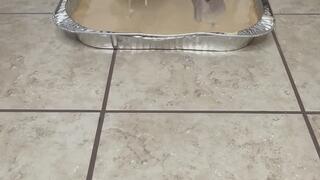 Come Make A Mess With Me (ASMR)