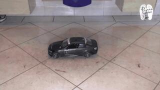 Black RC Car vs white Mules