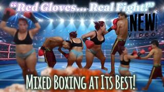 CATA “Red Gloves Showdown – Intense Mixed Boxing Battle”