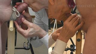 Locked into the Milking Post - Split-Screen Sequence 2