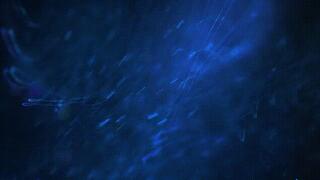 Juicy Cum Lips *mp4*