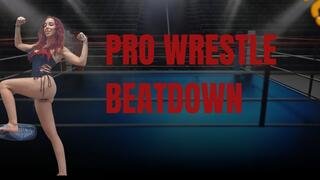 Pro Wrestle Beatdown (4k)