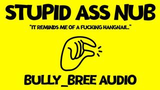 Stupid Ass Nub Audio