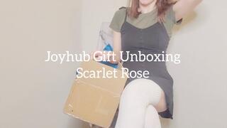 Joyhub Gift Unboxing