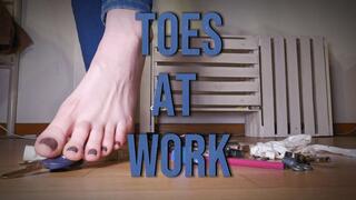 Toes at work