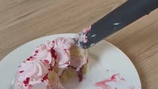 vacuum cleaner vacuuming cake