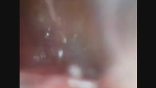 BAILEY SWALLOWS A LADY