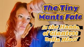 The Mant – BBW Giantess Soon To Meal